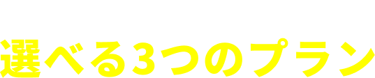 シンプルで安い！ 選べる3つのプラン